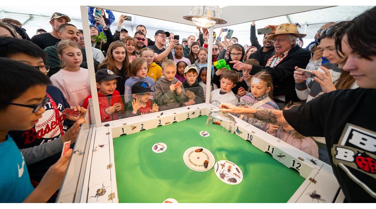 2026 Spring Fest Offers Bugs, Barnyards and Boilermaker Fun - Morning ...