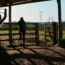 Farm Bankruptcies