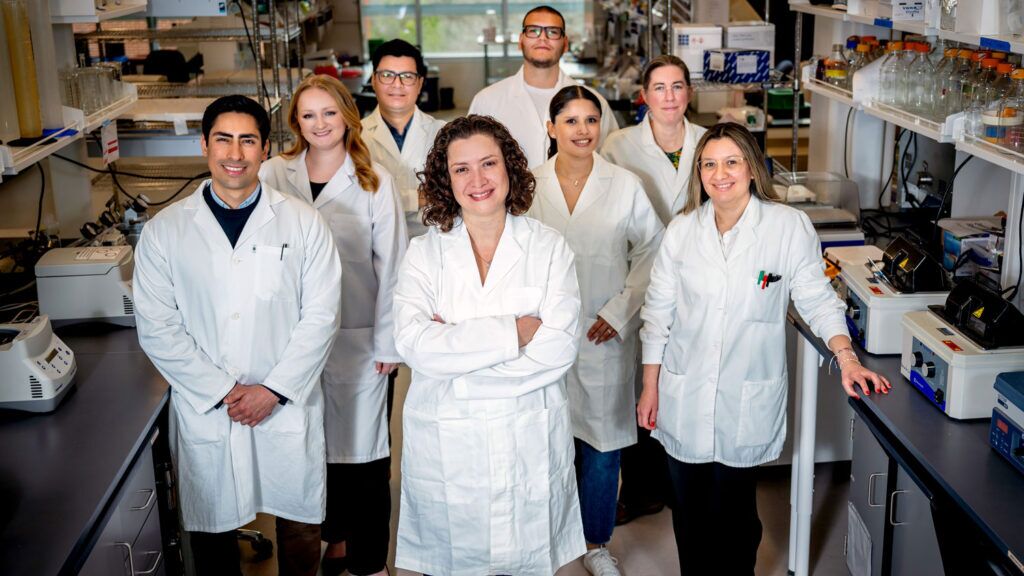 Lina Quesada-Ocampo Named Executive Director of the IR-4 Project – NC State University