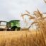 Diesel Fuel Export Ban