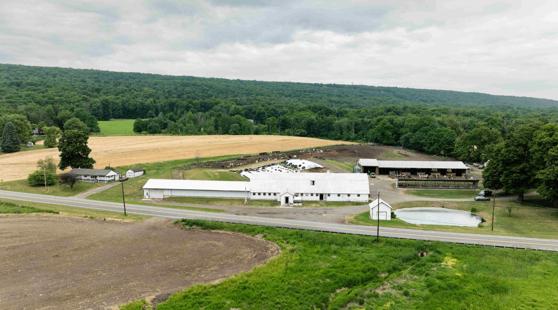 American Dairy Association North East Fall 2026 Virtual Farm Tours ...